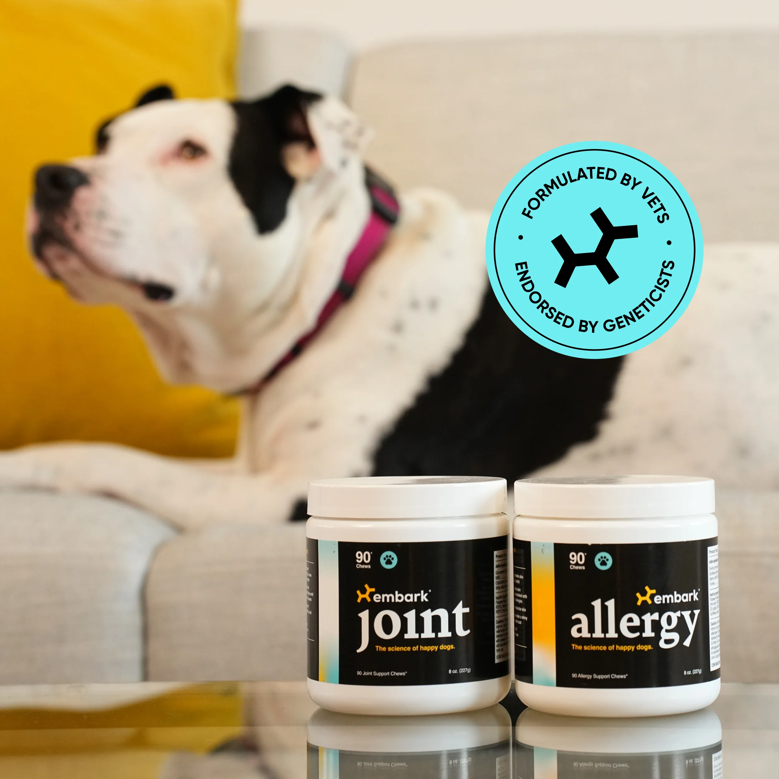 Allergy and Joint Supplement Bundle - Image 6