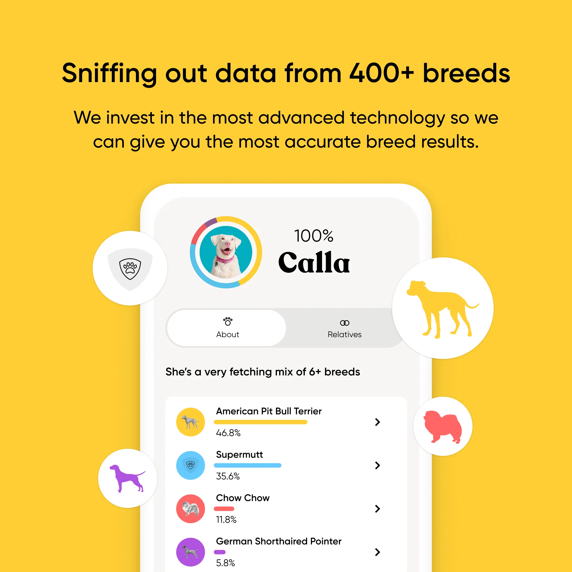 Breed + Health Dog DNA Test - Image 2