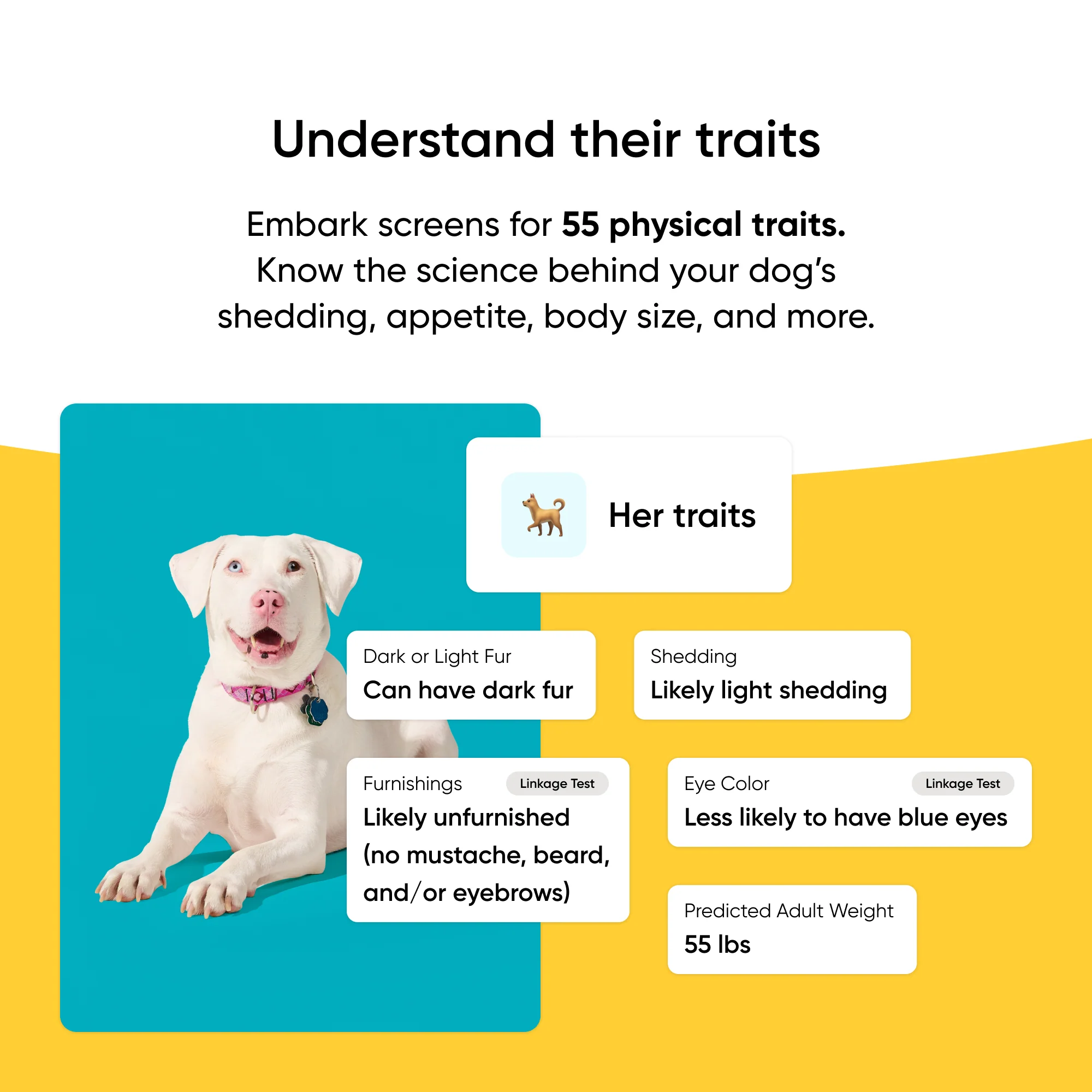 Breed Identification Dog DNA Test - Image 4