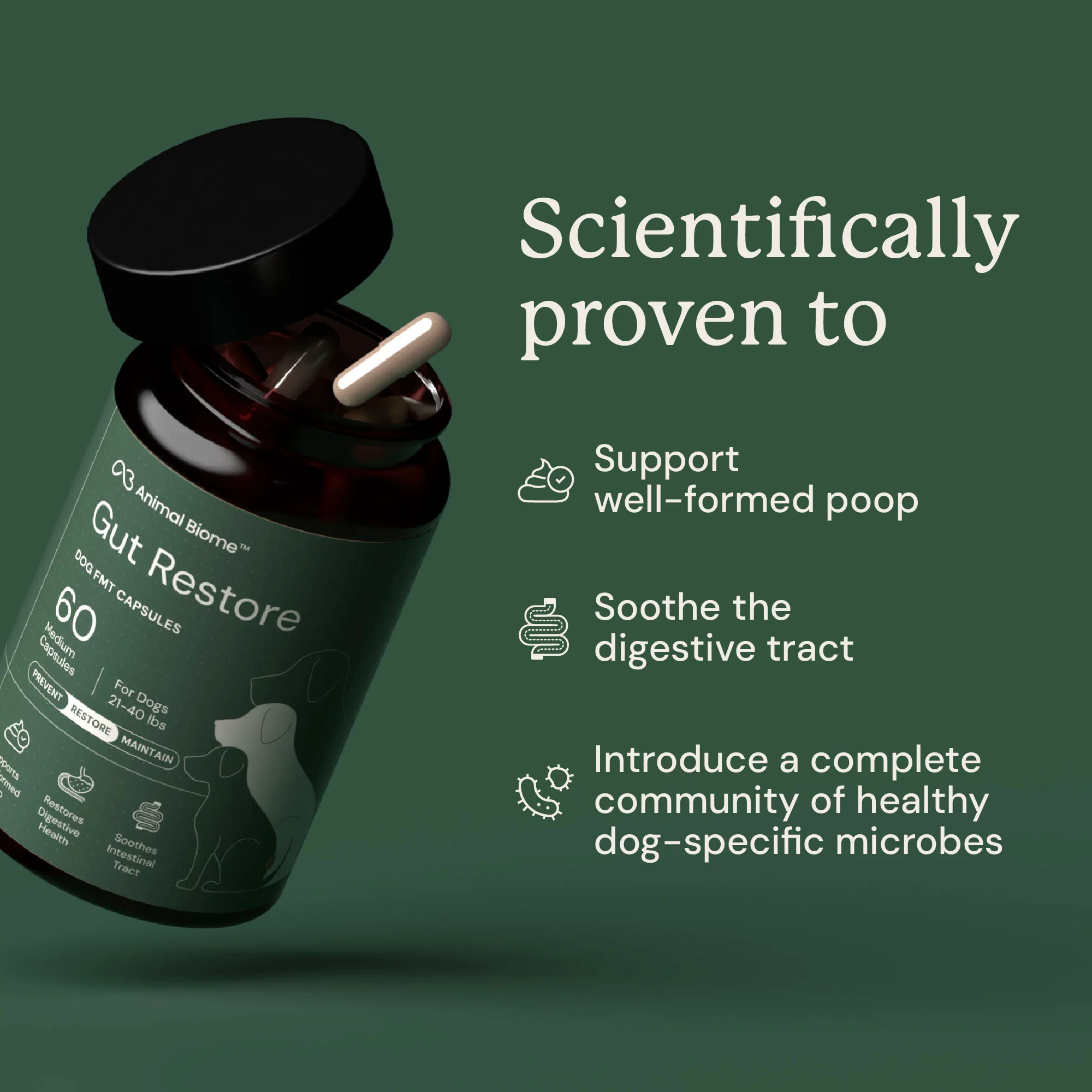 Gut Restore Supplement for Dogs - Image 3