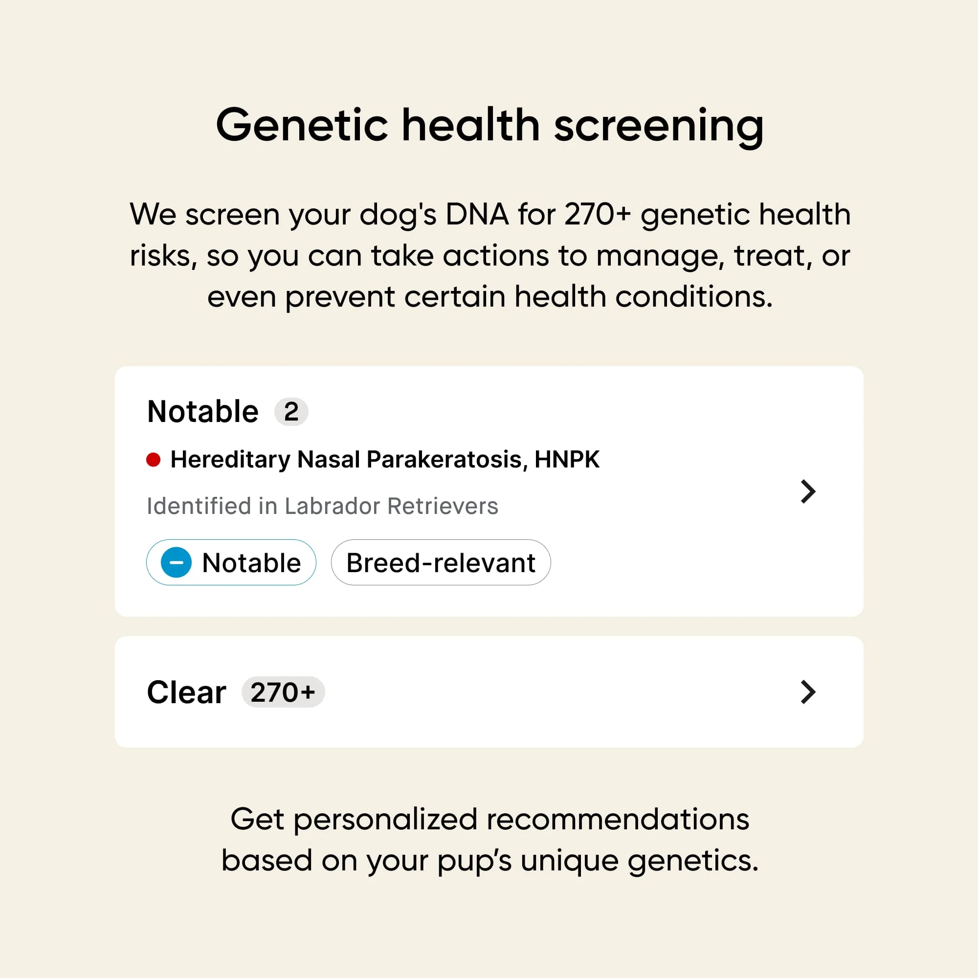 Embark Puppy Partner DNA Test - Image 3