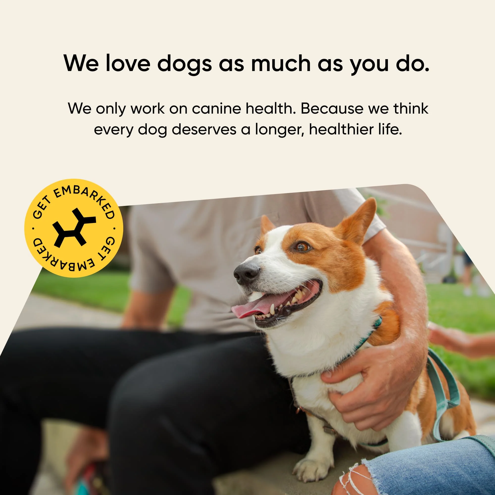 Embark Puppy Partner DNA Test - Image 6