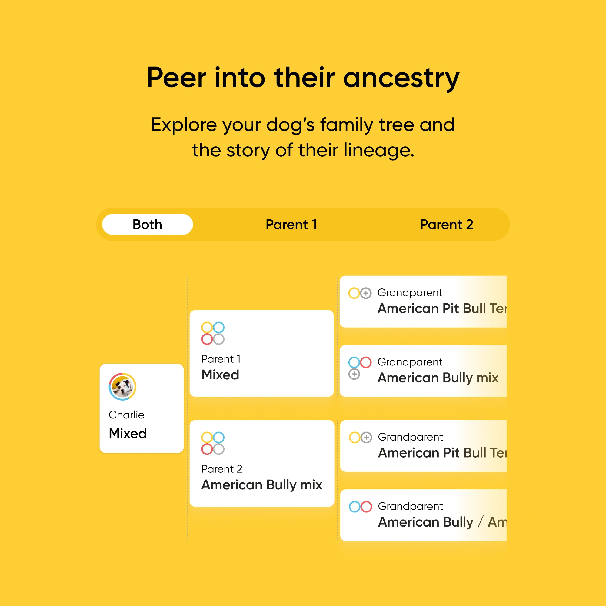 Embark Dog DNA Test +  Shelter Program - Image 8