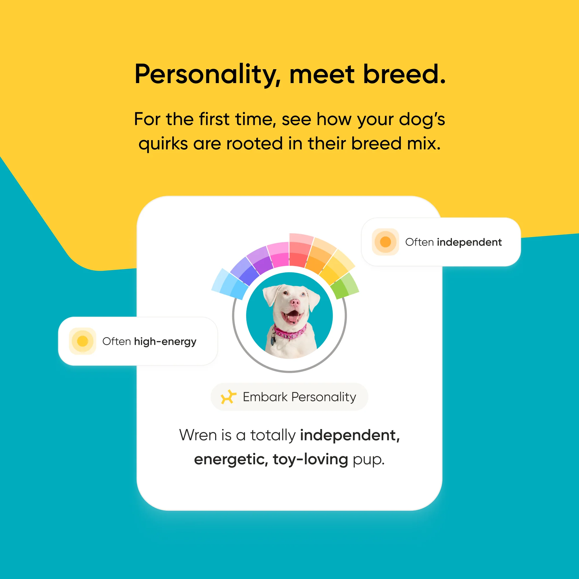 Purebred Test 2-Pack - Image 10