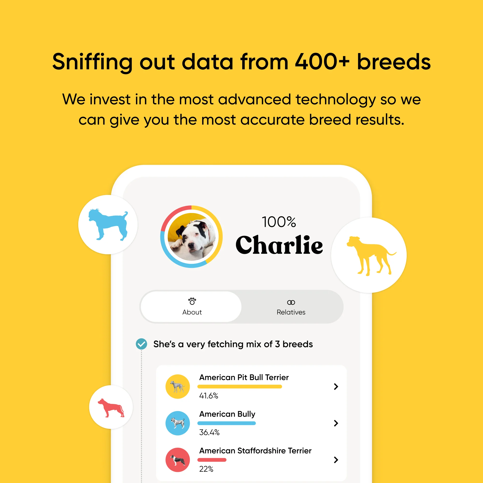 Embark Dog DNA Test +  Shelter Program - Image 3