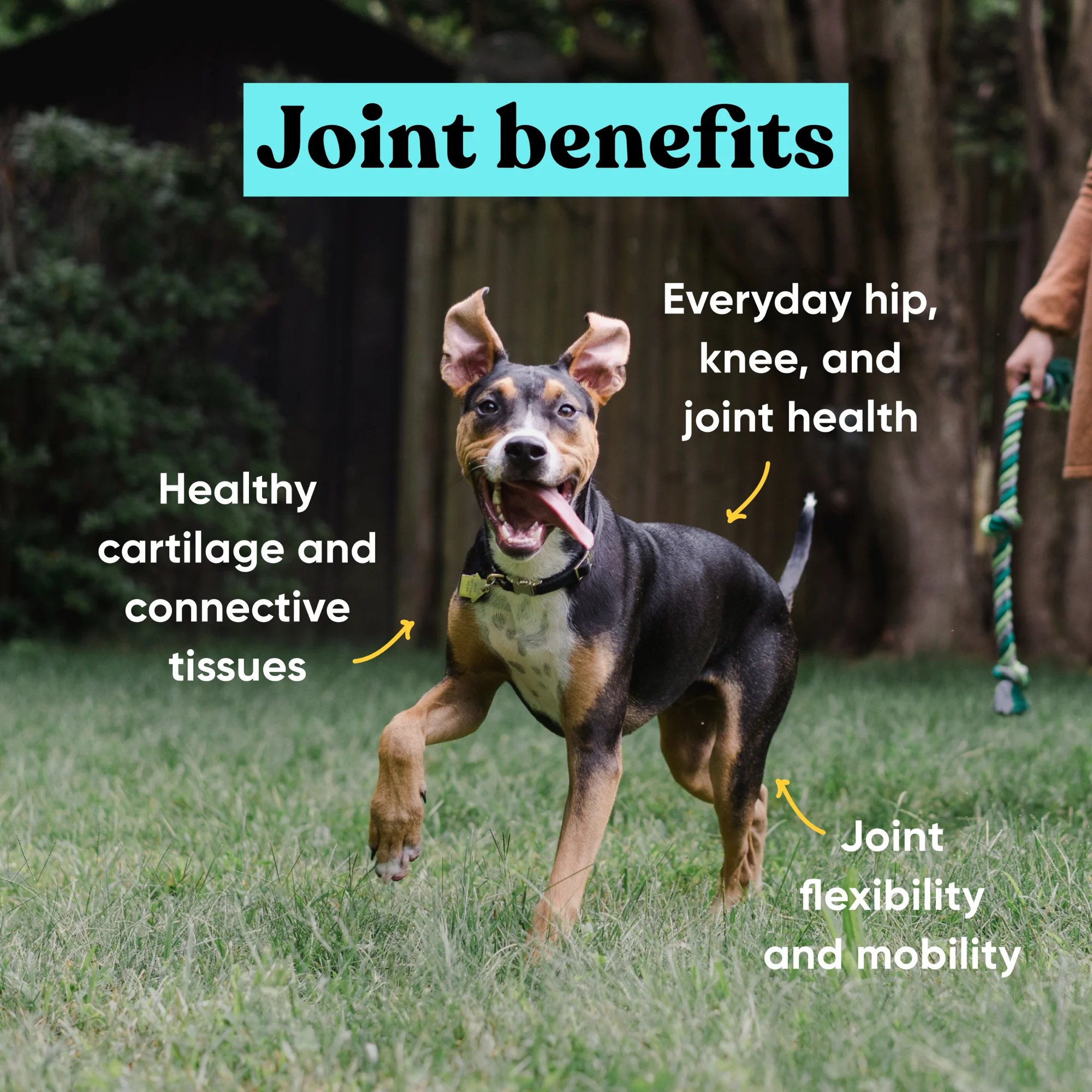 Embark Joint - Image 4